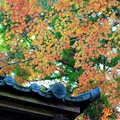 季節のイベント(秋)